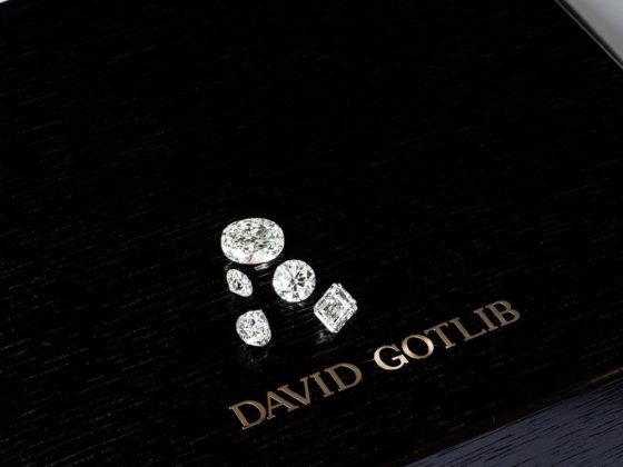 David Gotlib diamanten