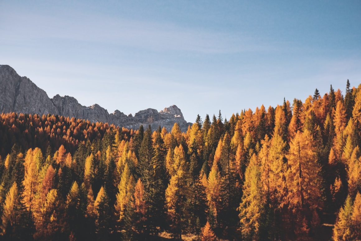 Majestic Dolomites in Italy, with their steep peaks rising above green alpine meadows, while a light mist fills the valleys, creating an atmosphere of mysticism and grandeur.