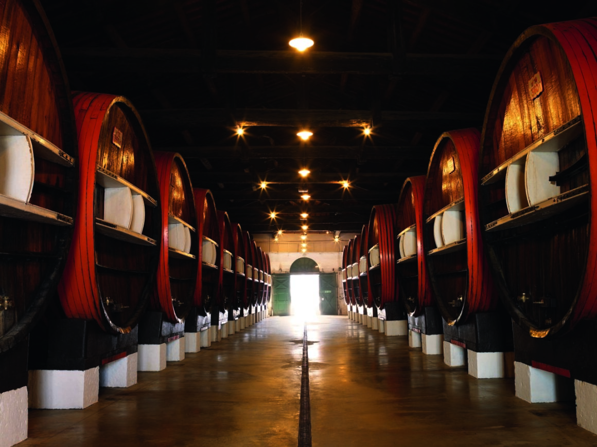 Rows of centuries-old wooden barrels, neatly arranged in an atmospheric, stone wine cellar with dimmed lighting, where the history and tradition of winemaking can be felt.