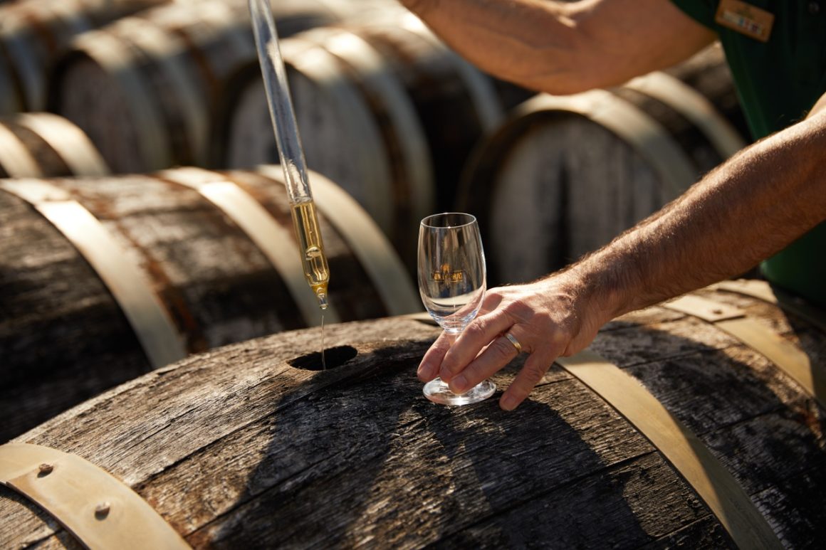 A person leans forward to taste a fresh sample of the drink straight from the barrel, the amber-coloured liquid glistening in the light, highlighting the authenticity and quality of the product.
