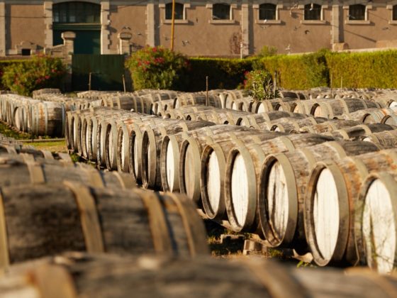 Rijen eikenhouten vaten opgestapeld in een wijnmakerij, waarin wijn rijpt en verfijnt