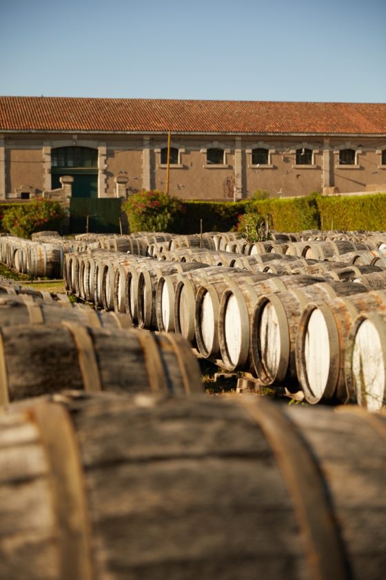Rijen eikenhouten vaten opgestapeld in een wijnmakerij, waarin wijn rijpt en verfijnt